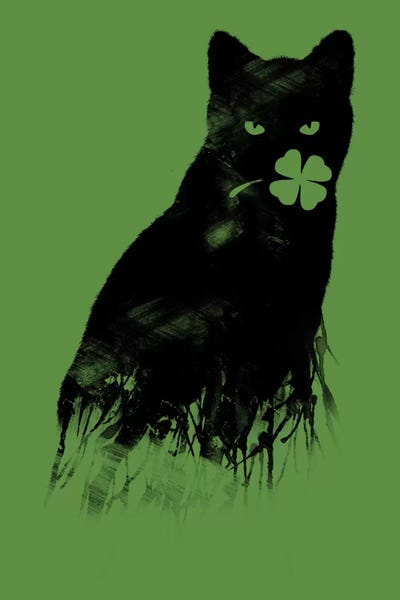 Black Cats: Ambivalence by Tobias Fonseca