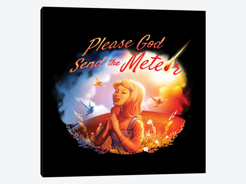 Please God Send The Meteor by Tobias Fonseca 1-piece Canvas Wall Art