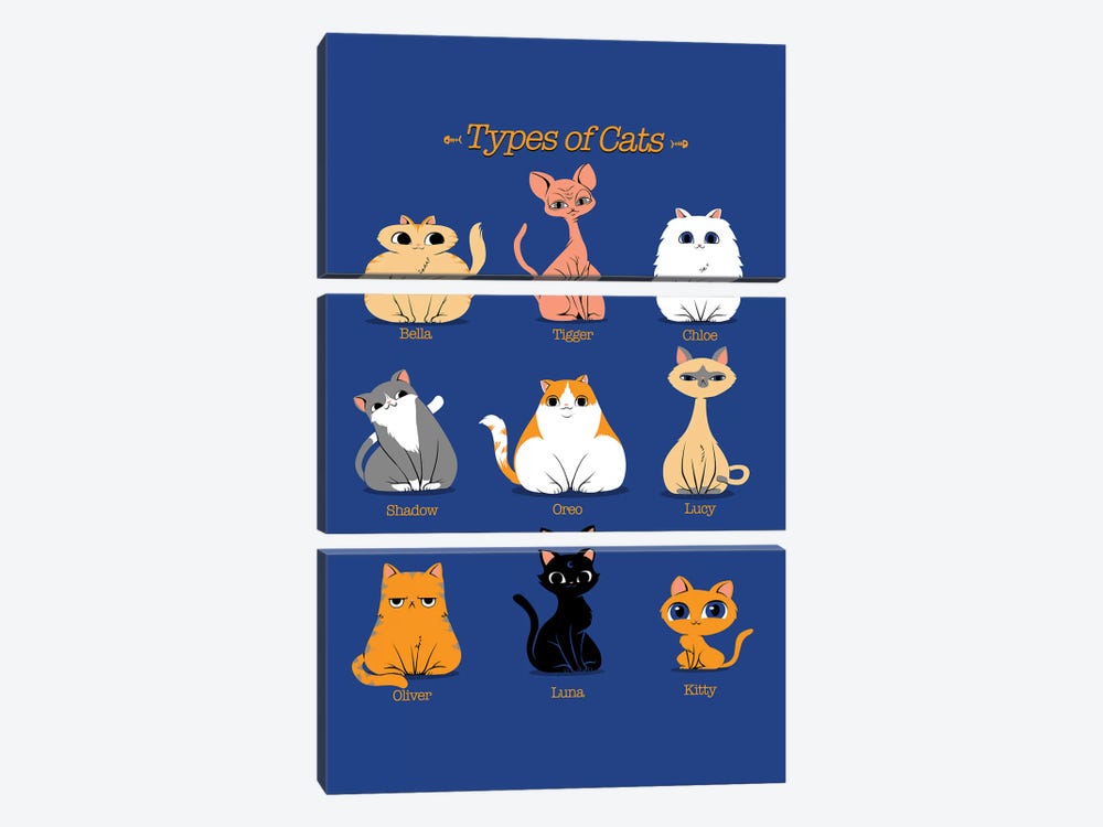 Types Of Cats by Tobias Fonseca 3-piece Art Print