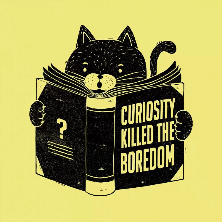 Curiosity Killed The Boredom