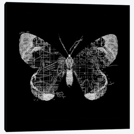 Butterfly Wanderlust Canvas Print #TFA385} by Tobias Fonseca Canvas Print
