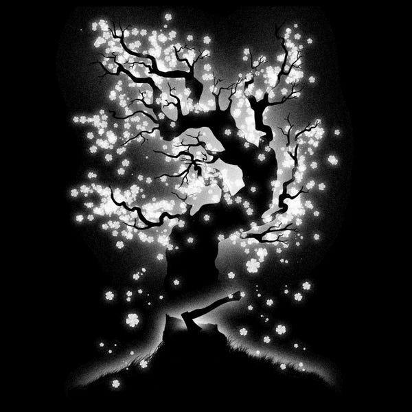 Black & White Florals: Beauty Cannot Be Interrupted by Tobias Fonseca