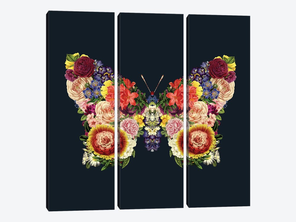 Spring Butterfly Floral by Tobias Fonseca 3-piece Canvas Art
