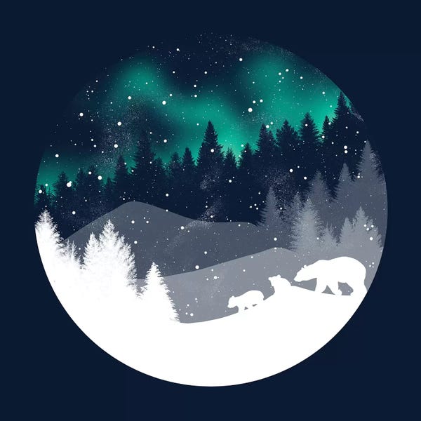 Aurora Borealis: Stardust Horizon by Tobias Fonseca