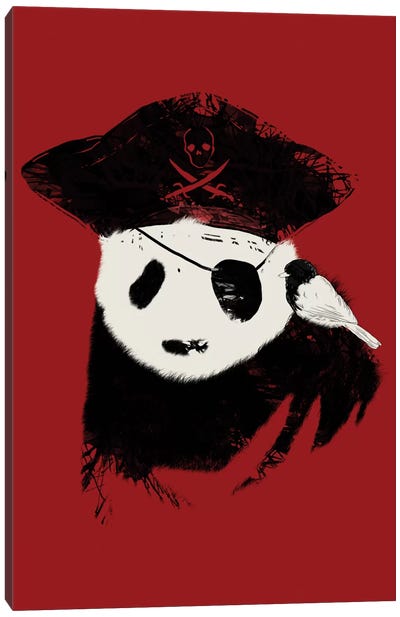 Bio Piracy Canvas Art Print - Panda Art