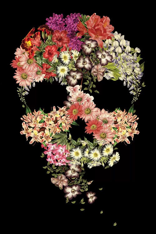 Skull Floral Decay