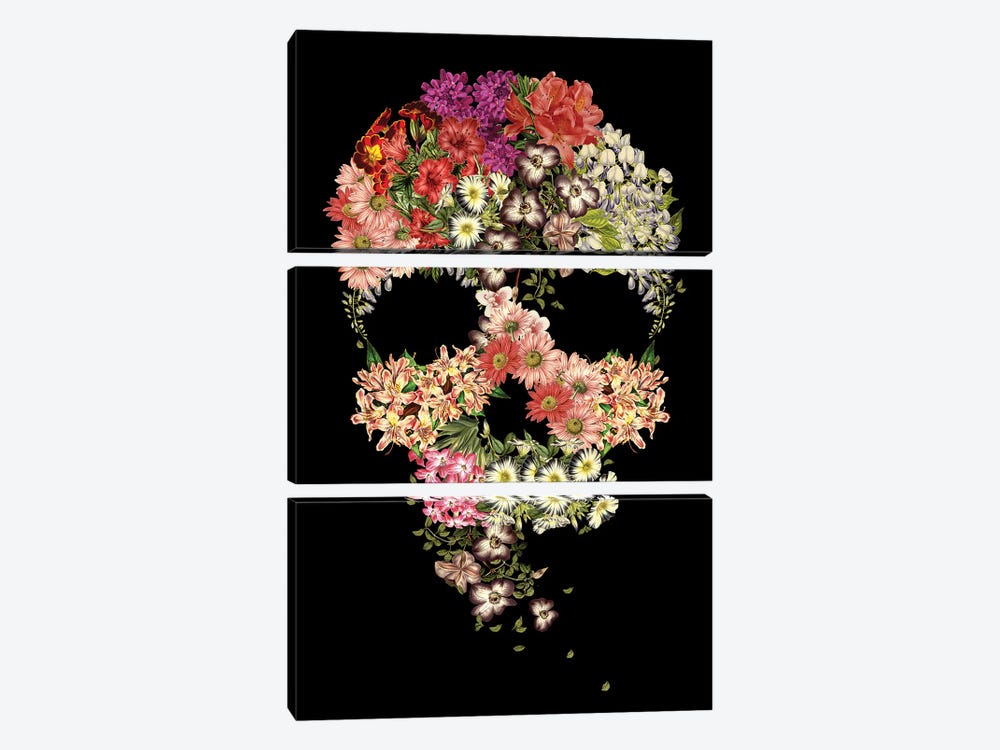 Skull Floral Decay by Tobias Fonseca 3-piece Canvas Wall Art