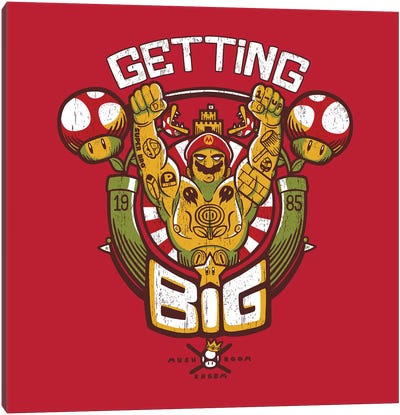Getting Big Red Canvas Art Print - Toad