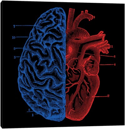 Heart and Brain Canvas Art Print - Tobias Fonseca