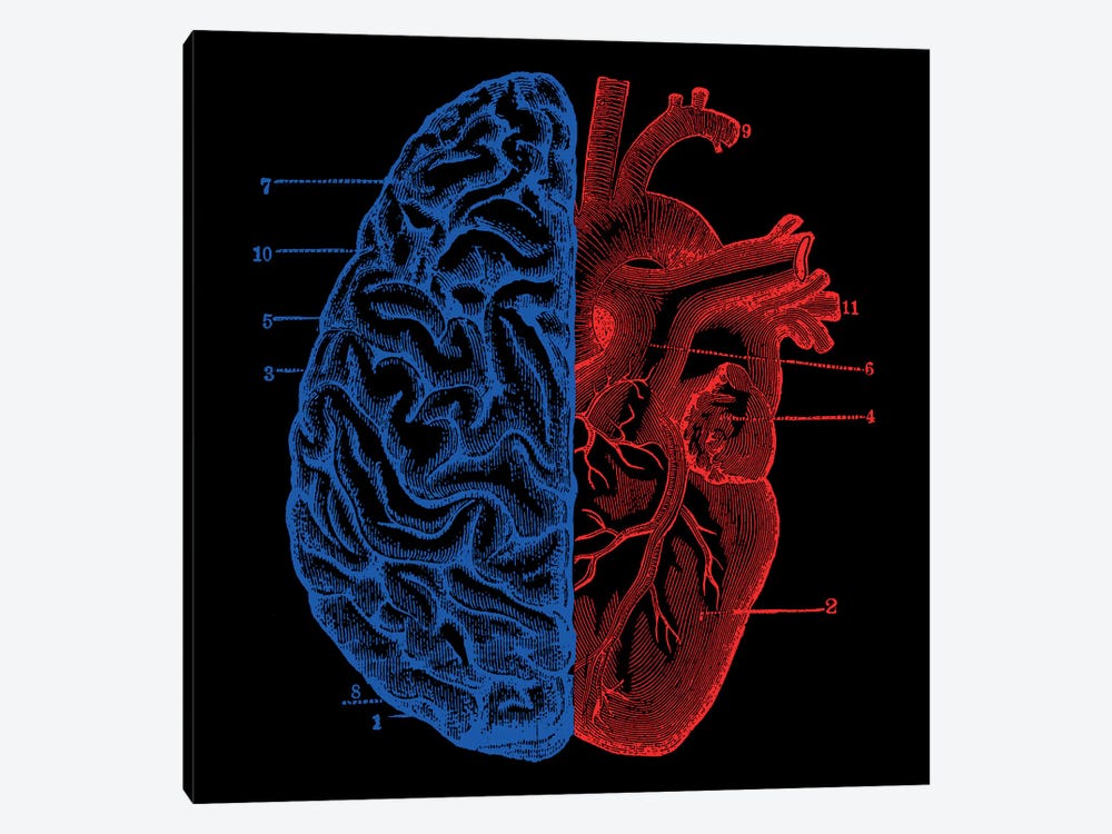Heart and Brain by Tobias Fonseca 1-piece Canvas Art Print