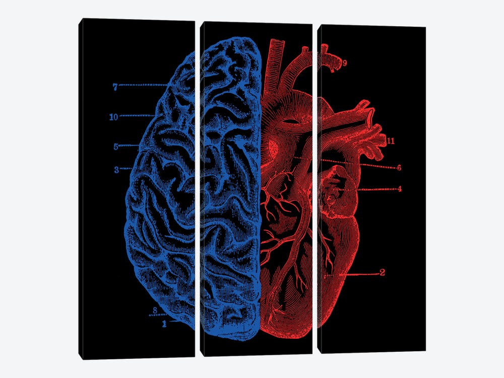 Heart and Brain by Tobias Fonseca 3-piece Canvas Print