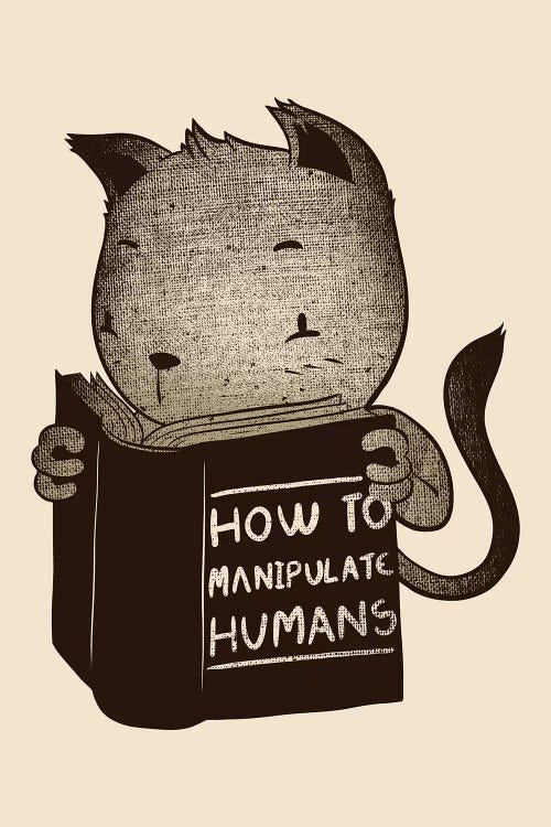 Cat How To Manipulate Humans