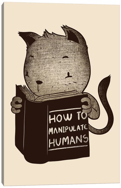 Cat How To Manipulate Humans Canvas Art Print - Satirical Humor Art