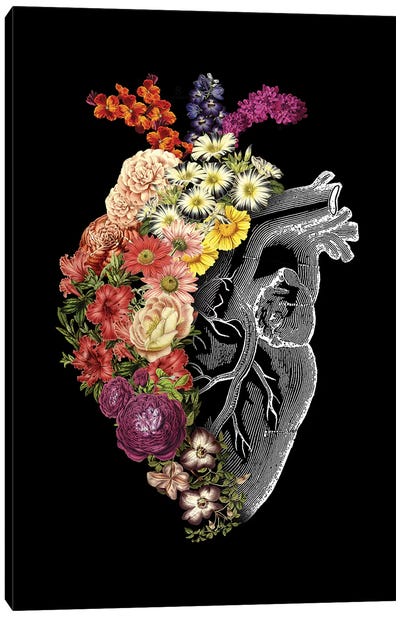 Flower Heart Spring Canvas Art Print - Tobias Fonseca