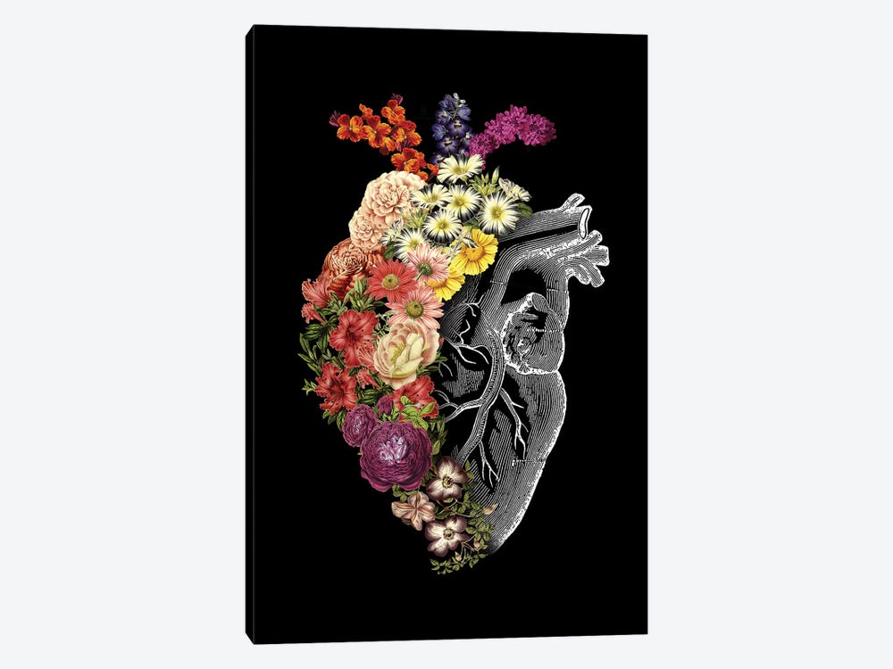 Flower Heart Spring by Tobias Fonseca 1-piece Canvas Print