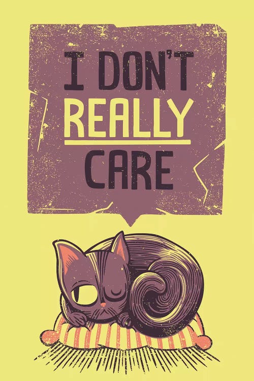 I Don't Care Cat