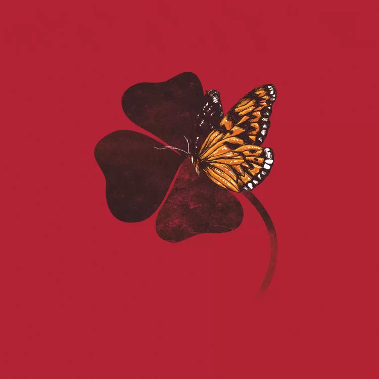 By Chance by Tobias Fonseca wall art