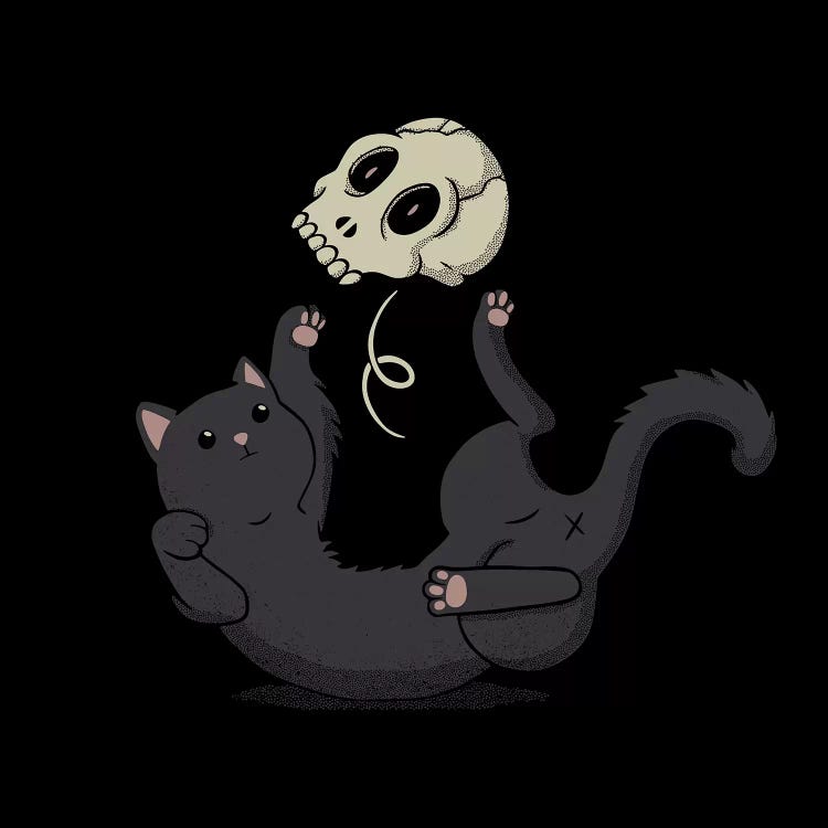 Skull Black Cat