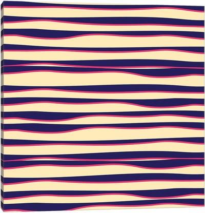 Funky Zebra Canvas Art Print - Stripe Patterns