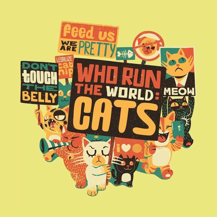 Who Run The World Cats