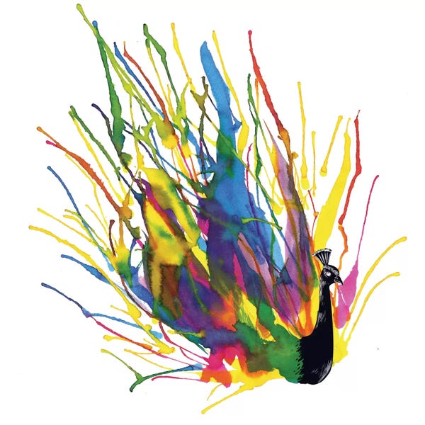 Creativity: Colorful Peacock by Tobias Fonseca