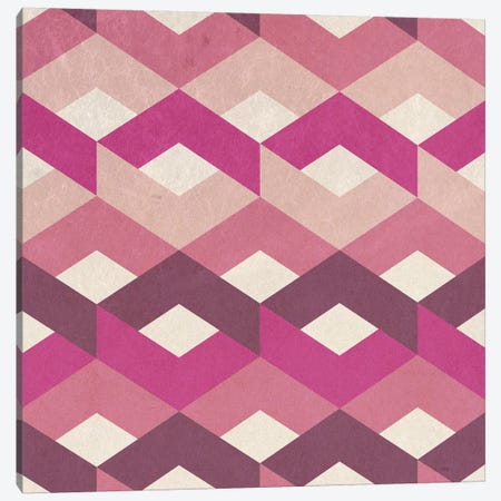 Pink Fancy Pattern Canvas Print #TFA486} by Tobias Fonseca Canvas Wall Art
