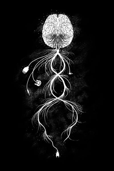 Connection by Tobias Fonseca framed canvas print