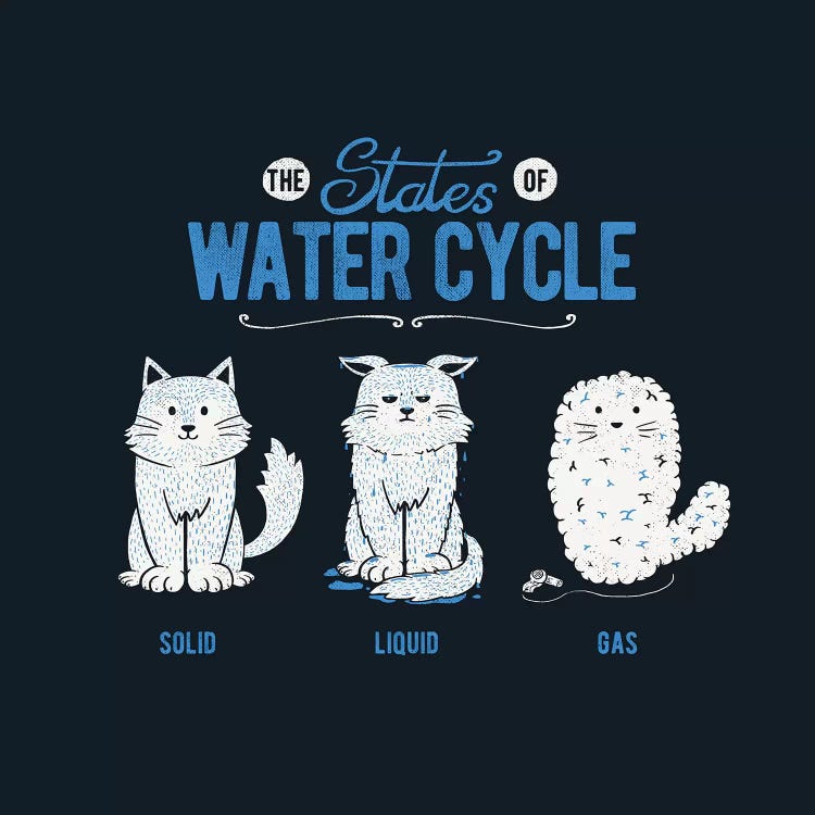 The States Of The Water Cycle