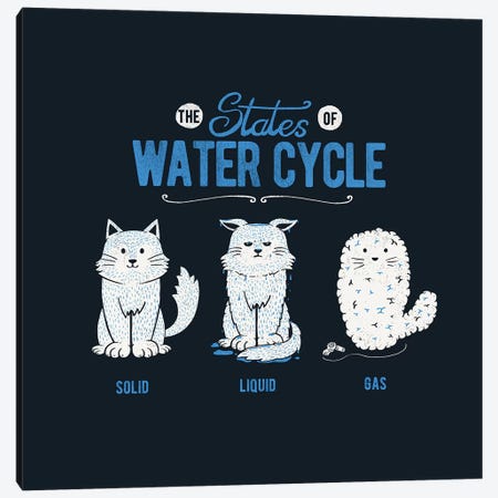 The States Of The Water Cycle Canvas Print #TFA577} by Tobias Fonseca Canvas Artwork