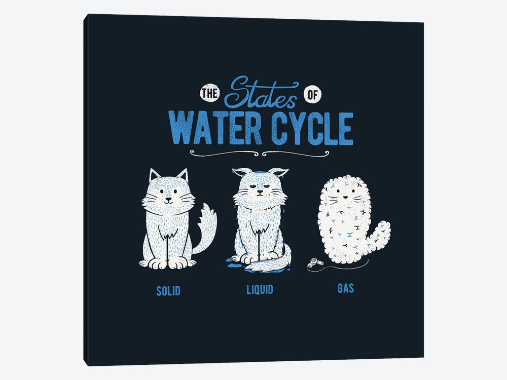 The States Of The Water Cycle by Tobias Fonseca 1-piece Canvas Print