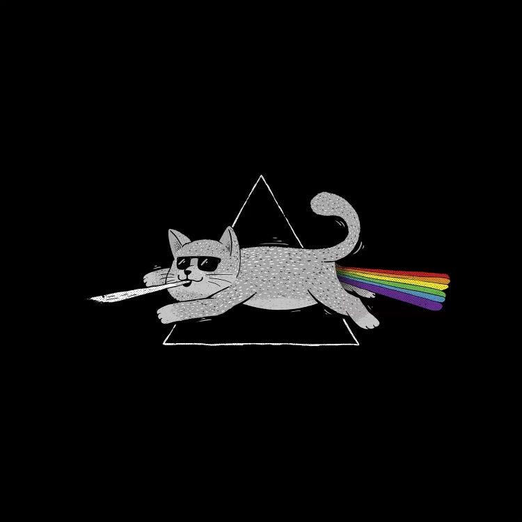 The Dark Side Of Cats