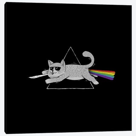 The Dark Side Of Cats Canvas Print #TFA595} by Tobias Fonseca Canvas Artwork