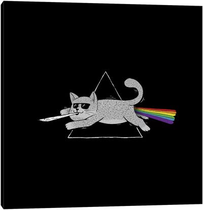The Dark Side Of Cats Canvas Art Print