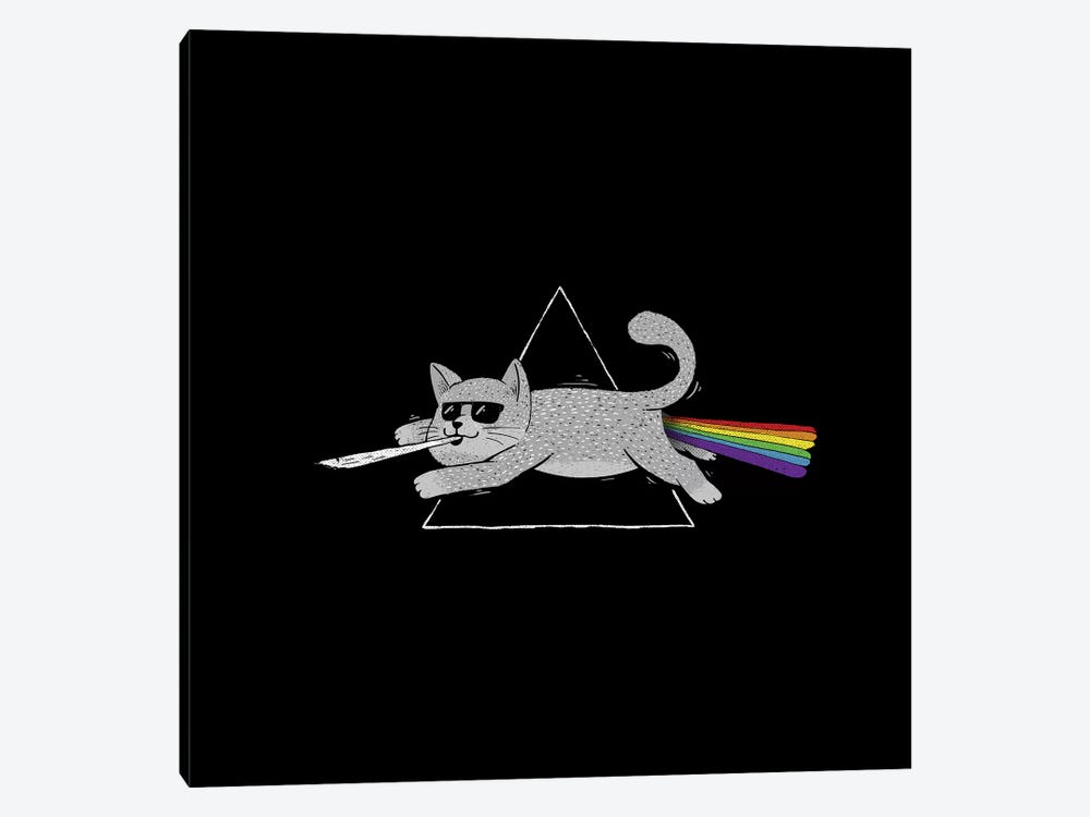 The Dark Side Of Cats by Tobias Fonseca 1-piece Canvas Print