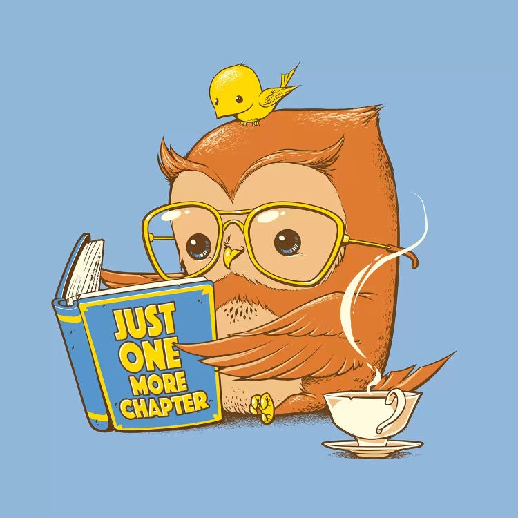 Just One More Chapter Owl