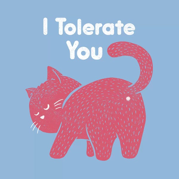 I Tolerate You