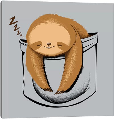 Sloth In A Pocket Canvas Art Print - Sloth Art