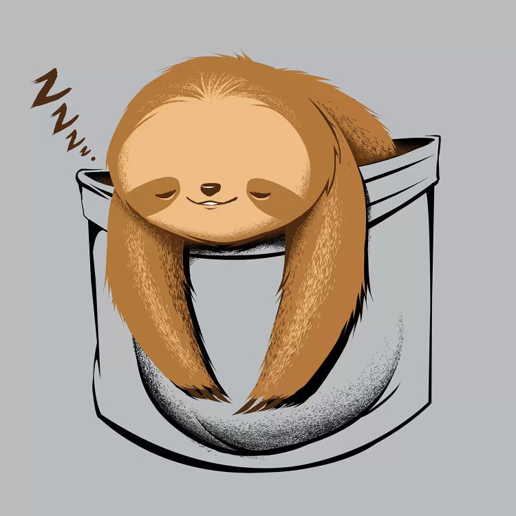 Sloth In A Pocket