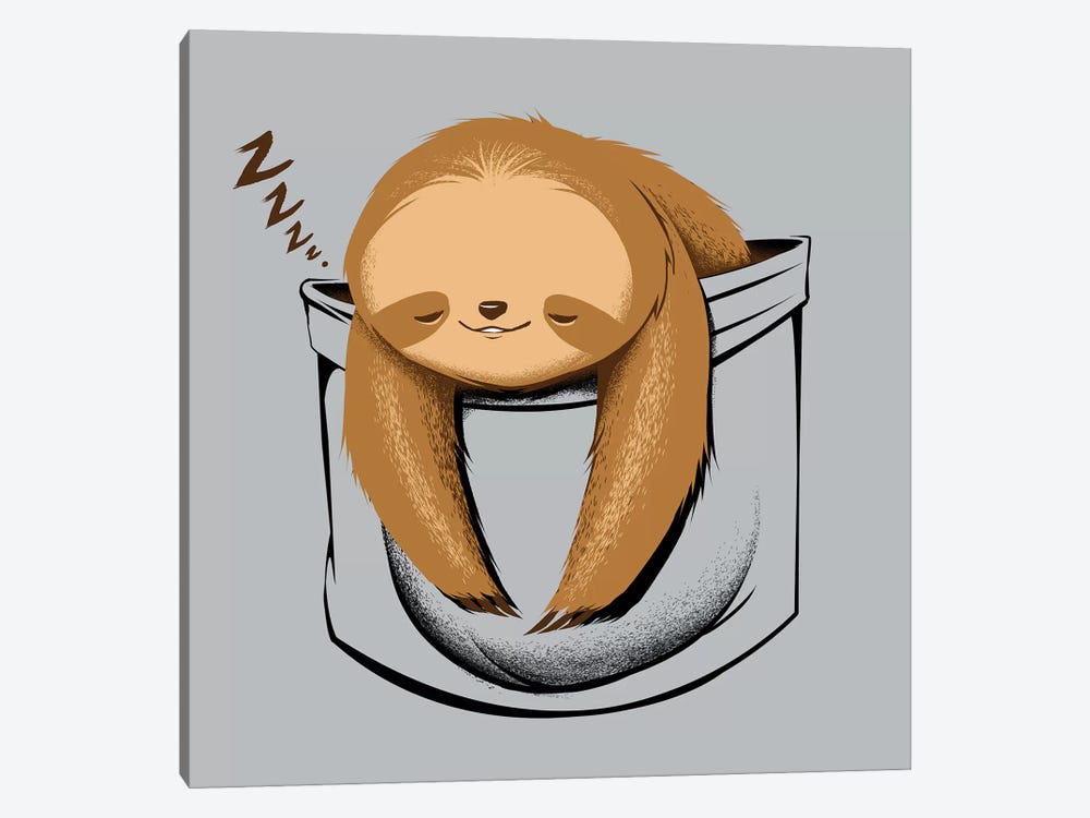 Sloth In A Pocket by Tobias Fonseca 1-piece Canvas Wall Art