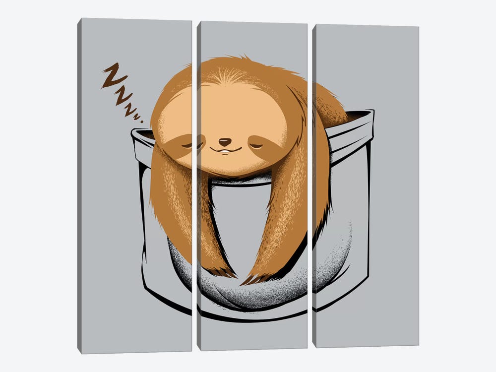 Sloth In A Pocket by Tobias Fonseca 3-piece Canvas Wall Art