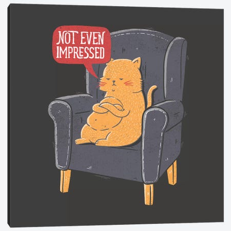 Not Even Impressed Canvas Print #TFA638} by Tobias Fonseca Canvas Artwork