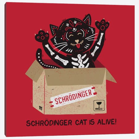 Am I Alive Schrödinger Canvas Print #TFA643} by Tobias Fonseca Canvas Art Print