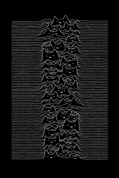 Black Cats: Furr Division by Tobias Fonseca