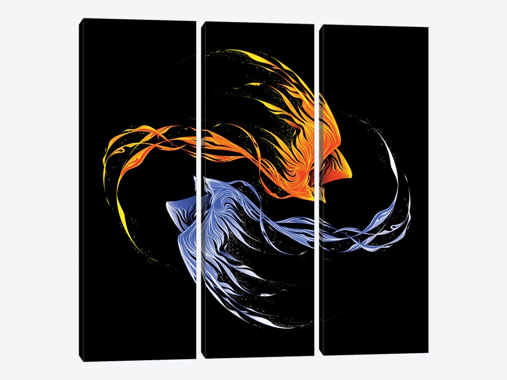 Phoenix Ice And Fire II by Tobias Fonseca 3-piece Canvas Artwork