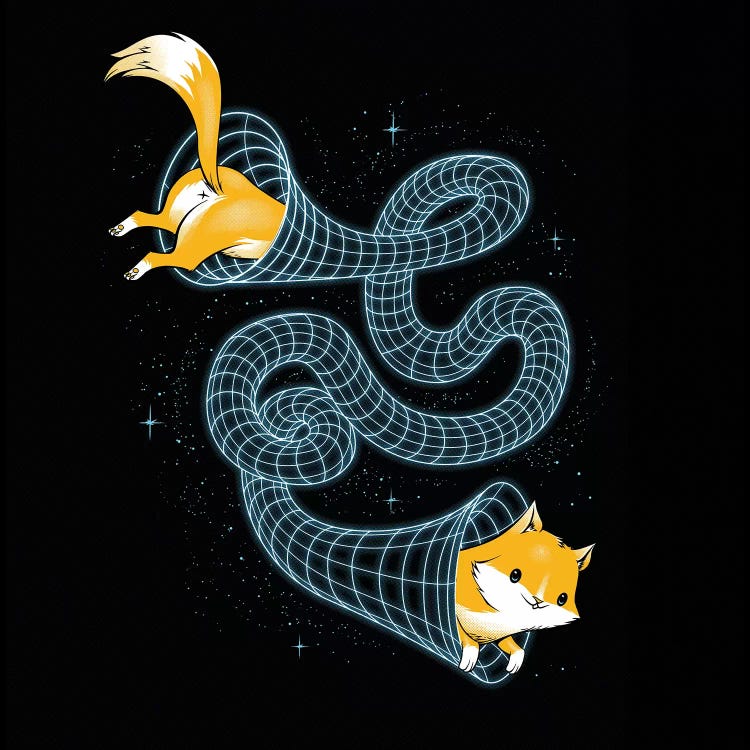 Wormhole Cat Universe