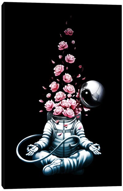 Astro Meditation Roses Canvas Art Print - Tobias Fonseca