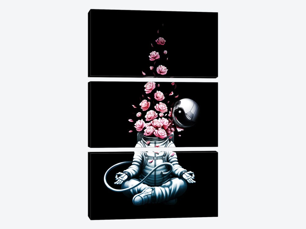 Astro Meditation Roses by Tobias Fonseca 3-piece Art Print