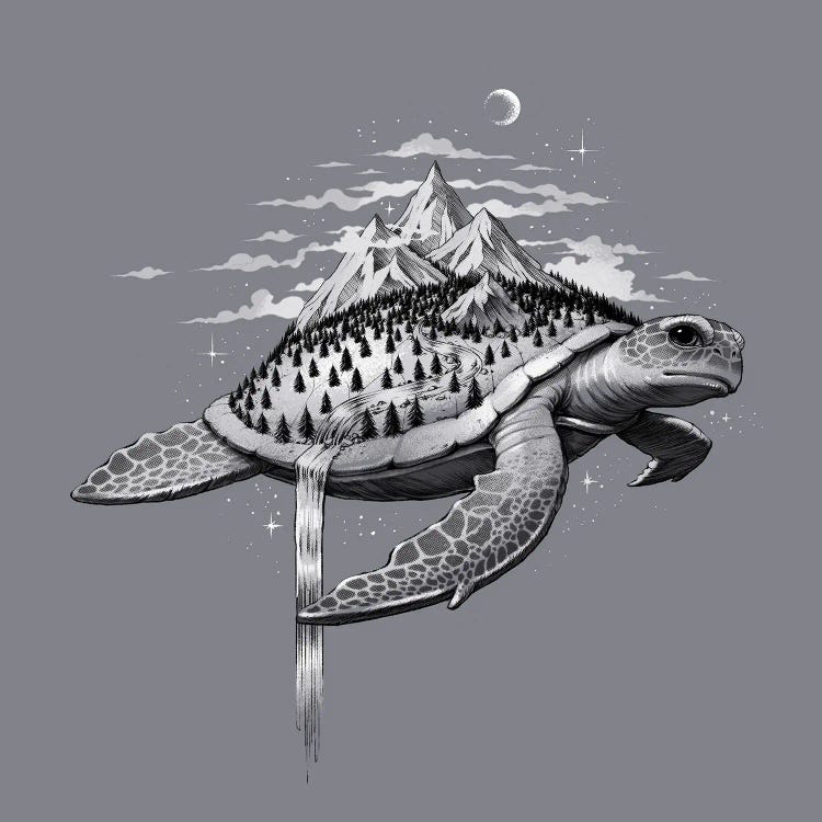 Adventure Turtle