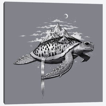 Adventure Turtle Canvas Print #TFA708} by Tobias Fonseca Canvas Artwork
