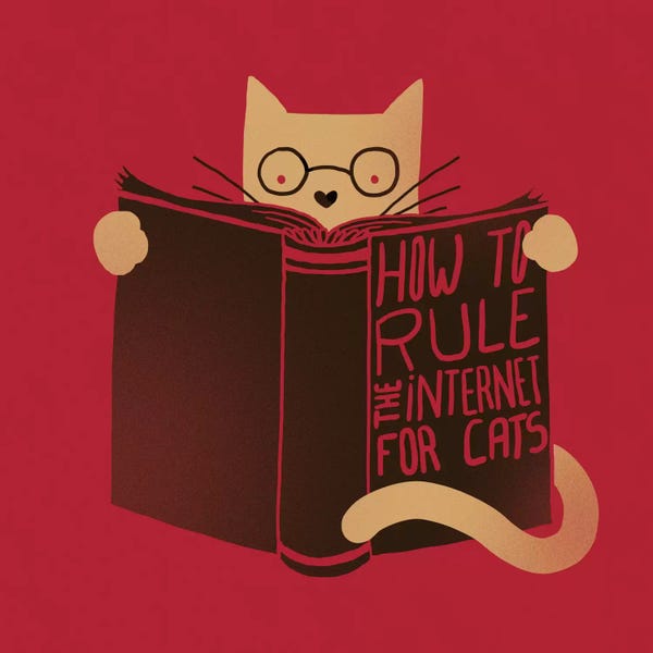 Kids Educational Art: How To Rule The Internet For Cats by Tobias Fonseca